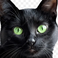 zu