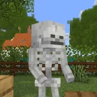 SKELLY