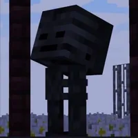 WITHER SKELETON (ANH CẢ)