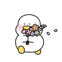 T/g cute