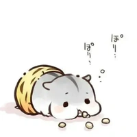t/g cute💝💝💝💝