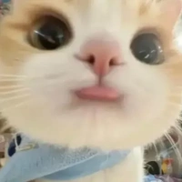 t/g