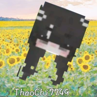 ThaoChi7749