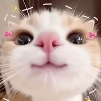 Khánh Ly