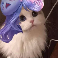Yuumeomeoz136 tg