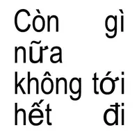 Fan hâm mộ