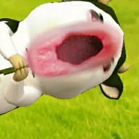 tác giả