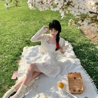 Võ Hồng Anh