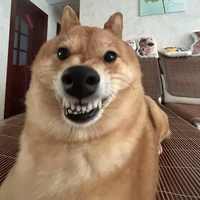 CÁ MẶN NHỎ CÕI ÂM