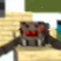 spider