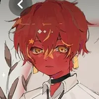 VN