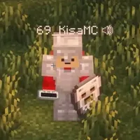 Kisa