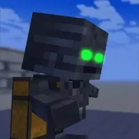 Wither Kaelen [anh 3]