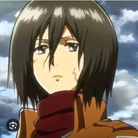 mikasa
