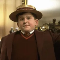 Dudley Dursley