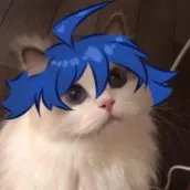 t/g cute phô mai que