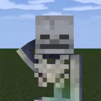 SKELLY / SKELETON