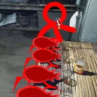 nv phụ