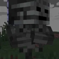 WITHER SKELETON [ANH CẢ]