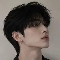 tô bảo