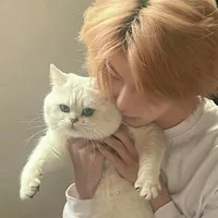 ⋆Hora   ⋆.˚ ☾⭒.˚ [ @Kitty ]