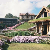 Kẻ du mục ˚꩜｡