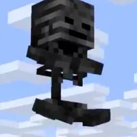 WITHER SKELETON [ANH CẢ]