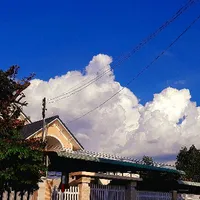tác giả