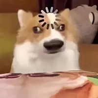 tác giả