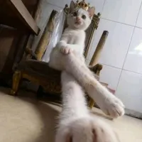 all bot trừ ai thì trừ