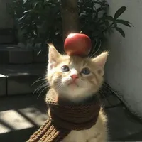 tác giả 