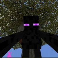 ENDERMEN 
