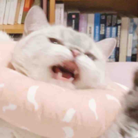 Zoe