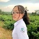Phan Bảo Ngọc