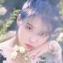 Iu
