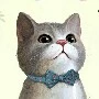 lee