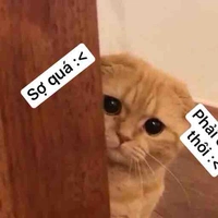 Na8