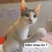 Na8 ( nhưng là na8 tốt ._. )