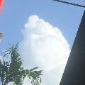tác giả