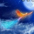 phượng ngũ sắc _thần thú của n9
