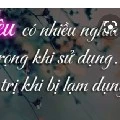 các thần thú của n9