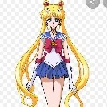 usagi
