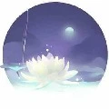 Bảng Thông Tin Cute hột me