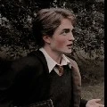 cedric diggory