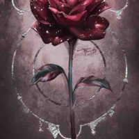 Black rose