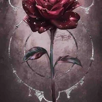 Black rose