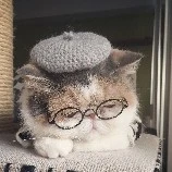 Đám đông