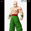 Tien shinhan
