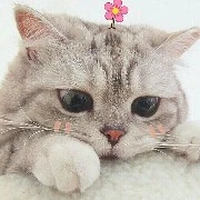 miu