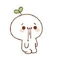 Tác Giả Nhỏ Bé Giữa Dòng Đời Đam Mỹ 🌼🥒